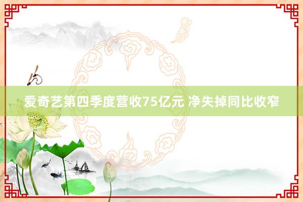 爱奇艺第四季度营收75亿元 净失掉同比收窄