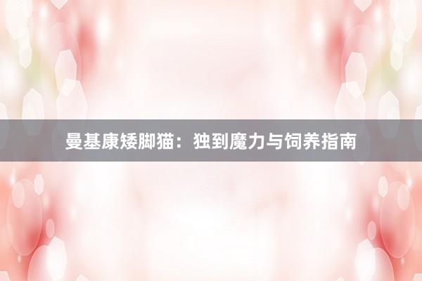 曼基康矮脚猫：独到魔力与饲养指南