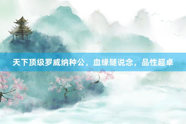 天下顶级罗威纳种公，血缘隧说念，品性超卓